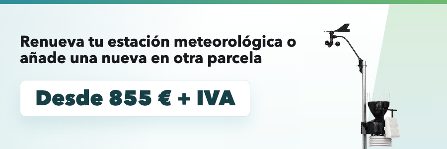 Oferta
